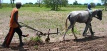 Hodar :Projet de location de matériel agricole