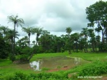 POLE DE DEVELOPPEMENT DE LA CASAMANCE Au-delà des questions économique et administrative