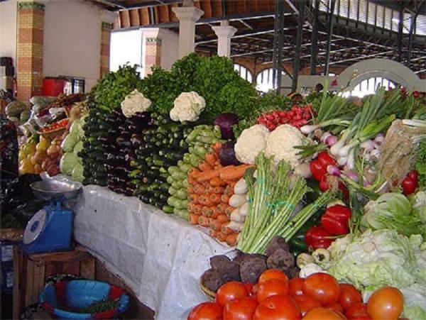 ZONE DES NIAYES La boulimie foncière, un frein à l’agriculture