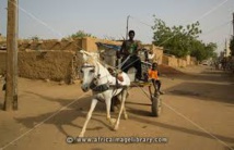 Matam: un centre de gestion et d'économie rurale en gestation