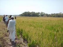 TAMBACOUNDA : LUTTE CONTRE L’INSECURITE ALIMENTAIRE, Le Papil se signale fortement