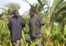 LUTTE CONTRE LA PAUVRETE EN MILIEU RURAL, L’école de Kaydara, un modèle de développement solidaire