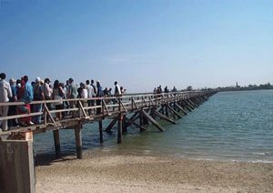 JOAL-FADIOUTH :RESSOURCES HALIEUTIQUES.L’aire marine protegée