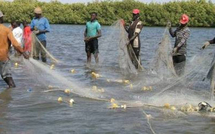 Un millions d’emplois générés par la pêche dans les pays membres de la CSRP (rapport)