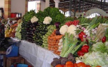 ZONE DES NIAYES La boulimie foncière, un frein à l’agriculture