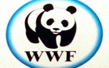 EDUCATION A L’ENVIRONNEMENT , La pédagogie du WWF pour impliquer les jeunes